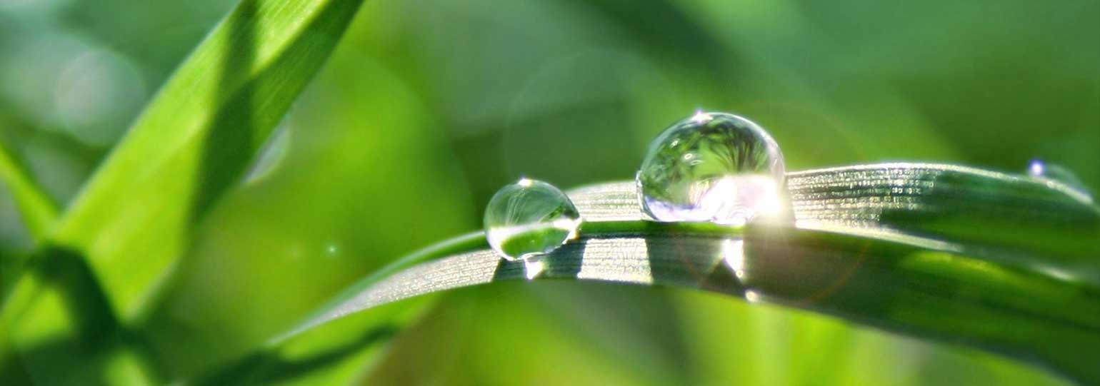 Psicoterapeuta Ponte San Nicolò Roma